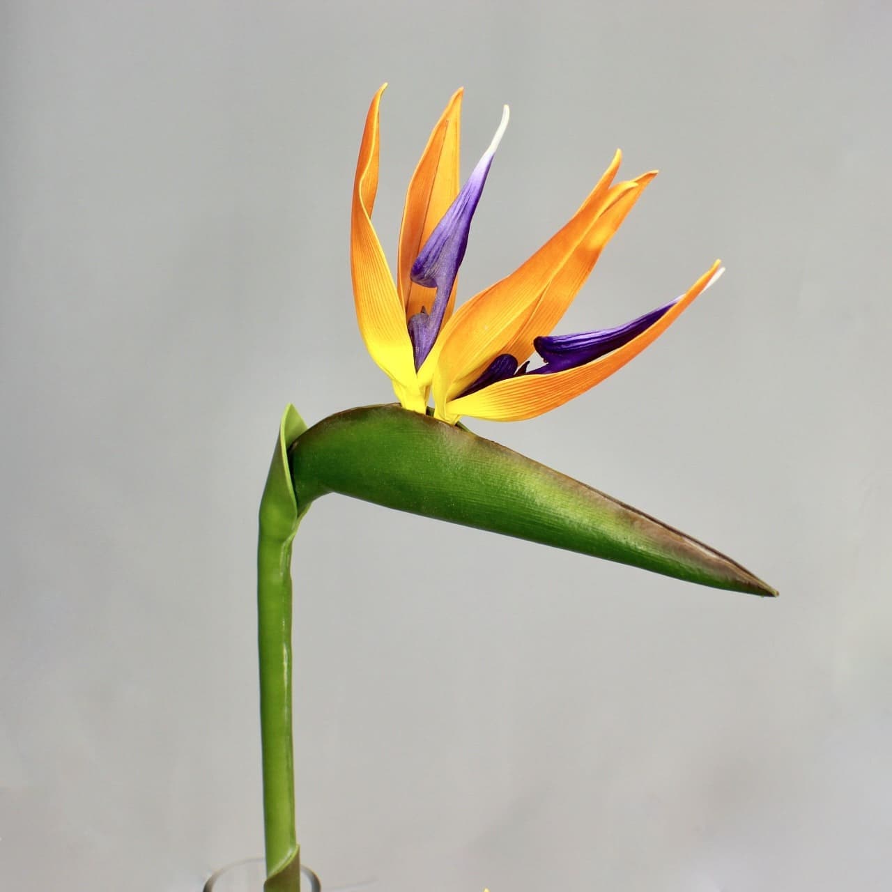 artificial Bird of Paradise