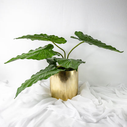 artificial Large Calla Leaves in glass vase