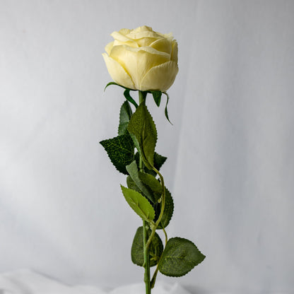 artificial Ivory David Austin Real Touch Open Bud Rose