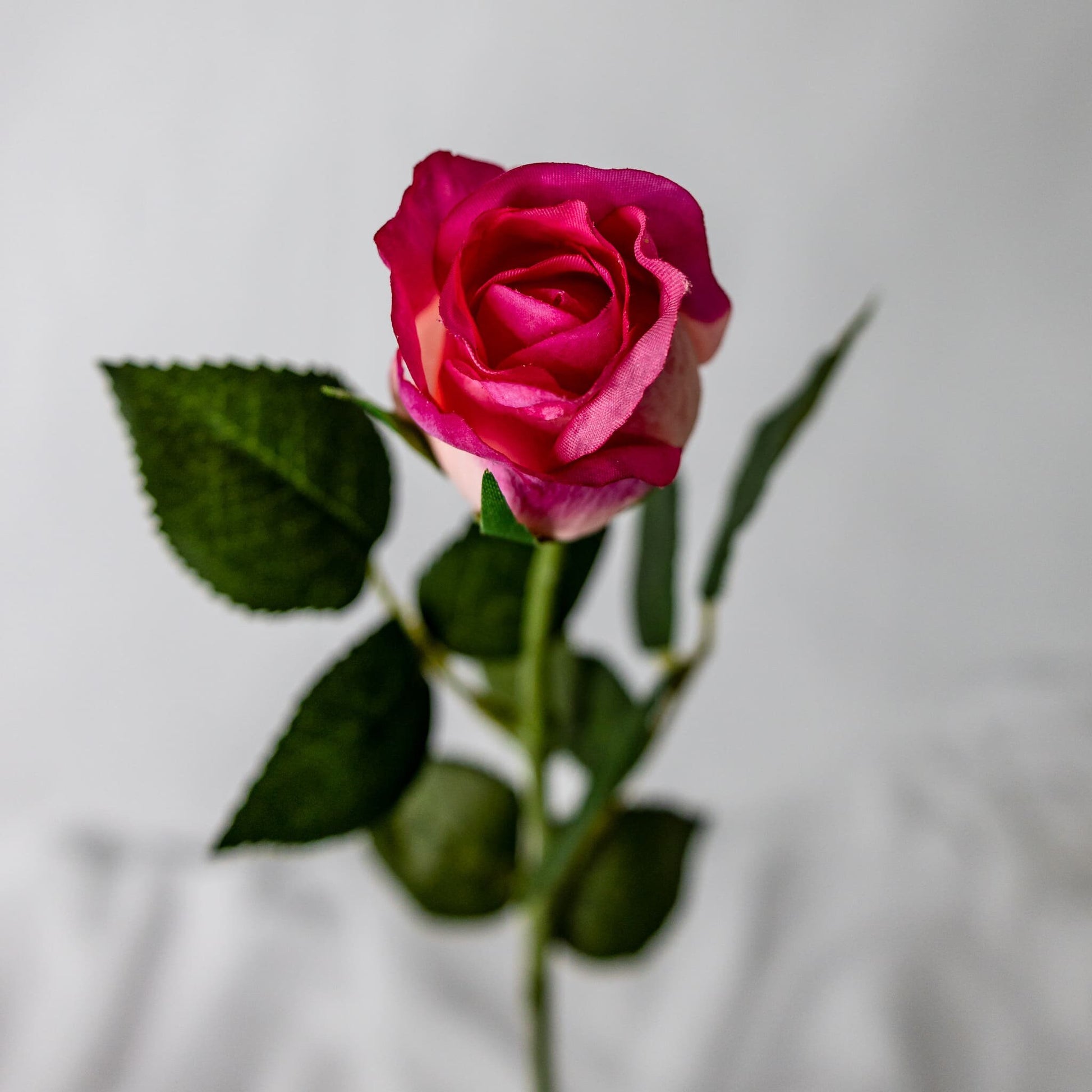 artificial Fuchsia Real Touch Open Bud Rose top view