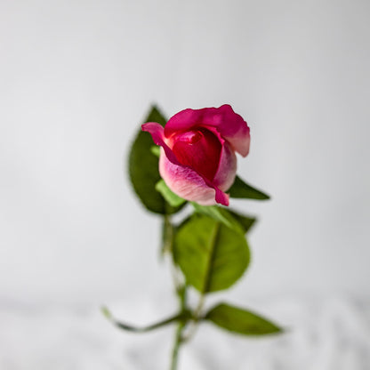 artificial Fuchsia Real Touch Rose Bud top view