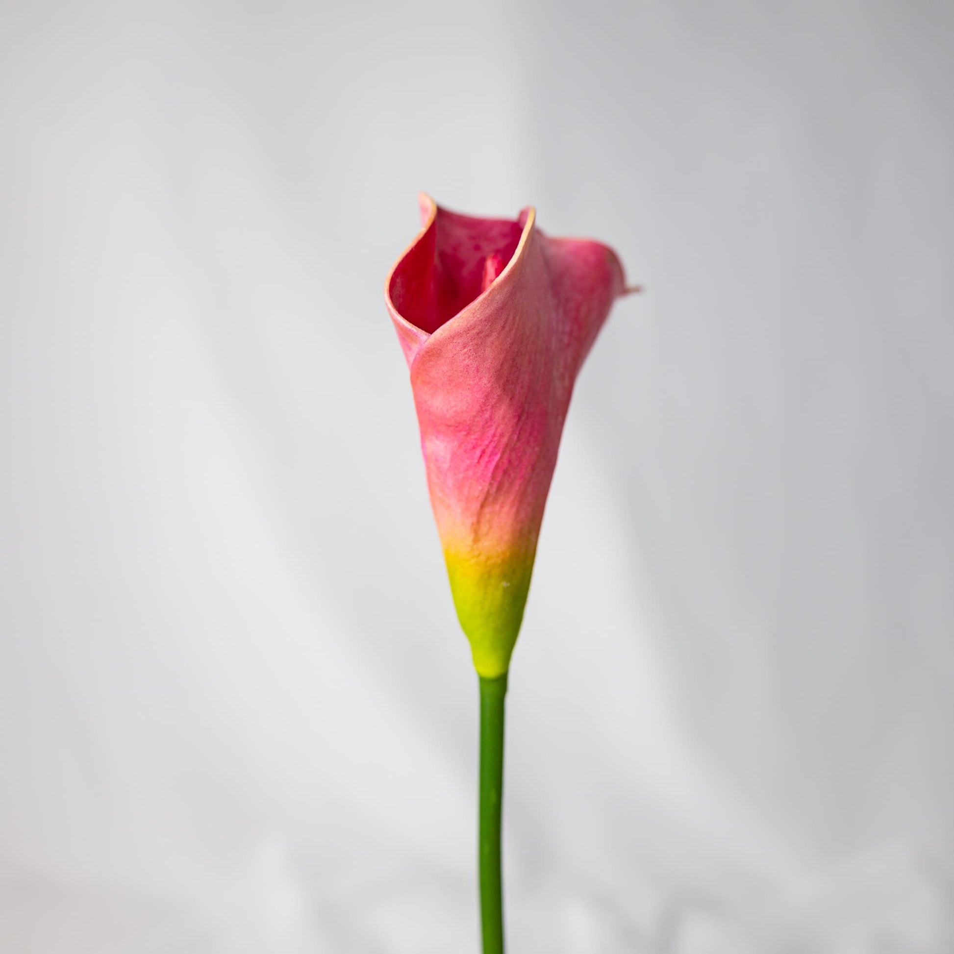 artificial Fuchsia Mini Calla Lily