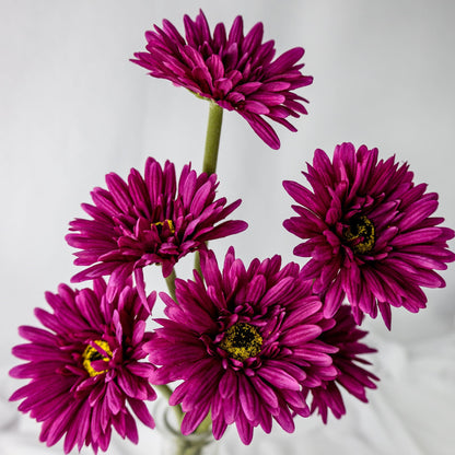 artificial Fuchsia Gerbera in glass vase closer look