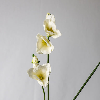 artificial Freesia