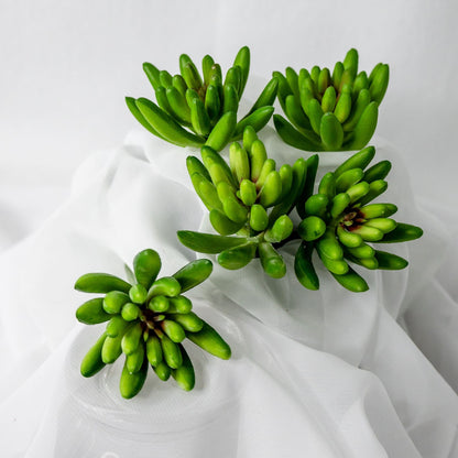 artificial Claw Lotus Succulents