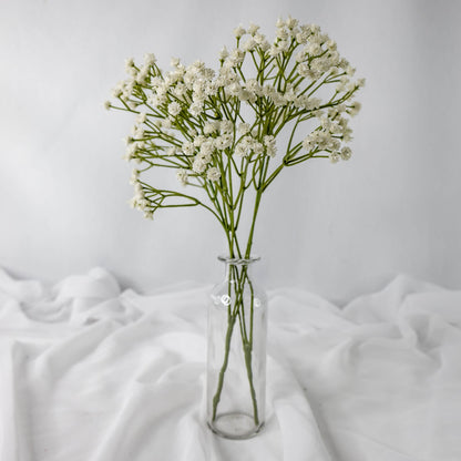 artificial Baby&#39;s Breath (Gypsophila) in glass vase