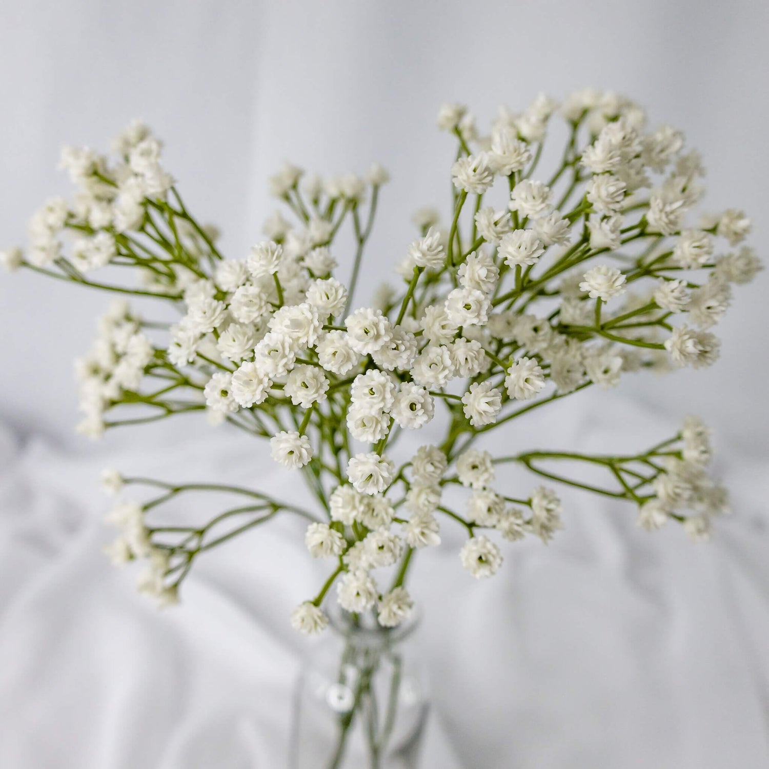 artificial Baby&#39;s Breath (Gypsophila) in glass vase closer look