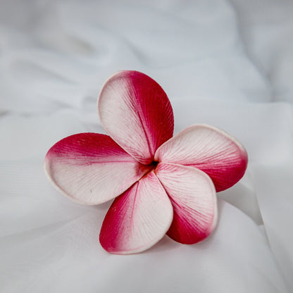 Candy Stripe Frangipani Flowerhead - Realistic Artificial Flowers