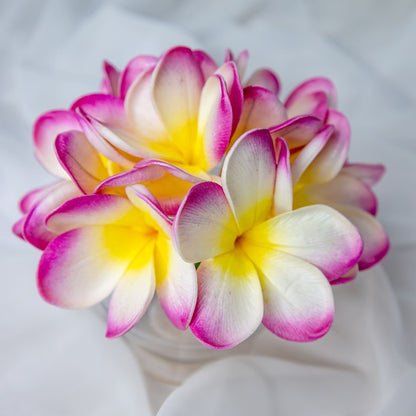 artificial white fuchsia frangipani flowerhead in clear glass vase