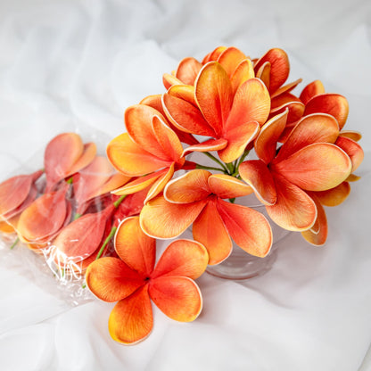 artificial tangerine frangipani flowers placed in transparent glass vase