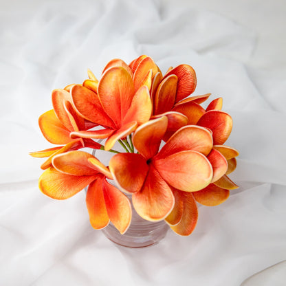 artificial tangerine frangipani flowers placed in transparent glass vase