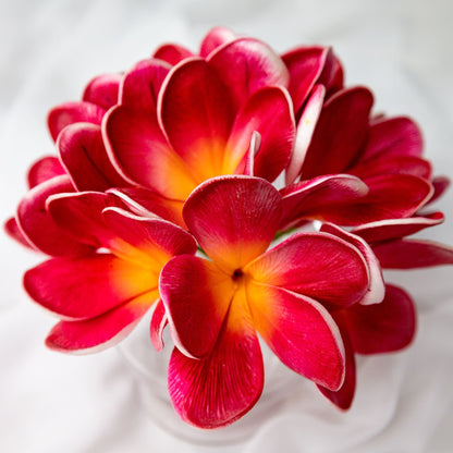 artificial passion frangipani flowers top view