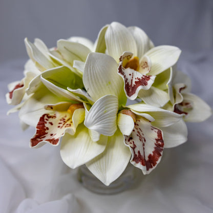 artificial White/Burgundy Cymbidium in clear glass vase