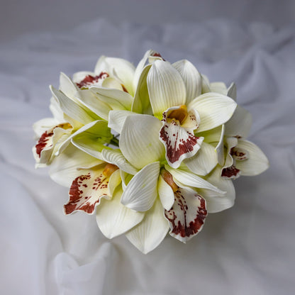 artificial White/Burgundy Cymbidium top view