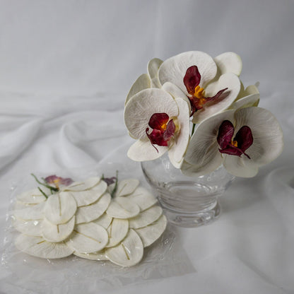 artificial white and dark pink phalaenopsis flower in clear glass vase