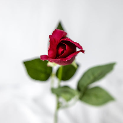 artificial red rose bud top view