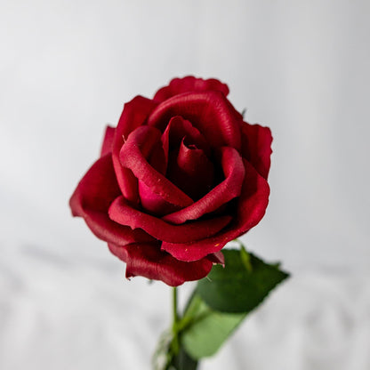 artificial red open bloom rose top view