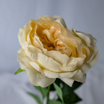 artificial pale peach david austin rose