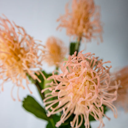 artificial pink leucospermum top view