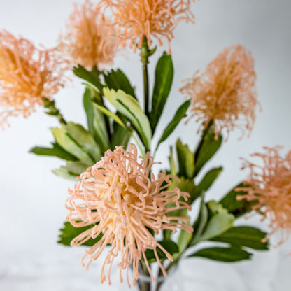 artificial pink leucospermum top view