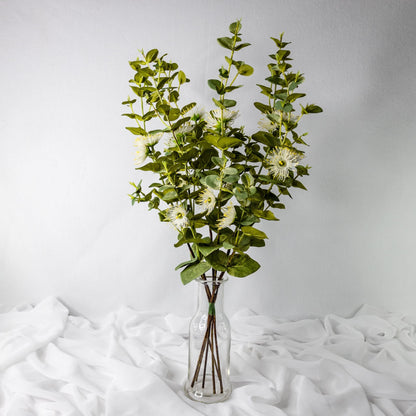 artificial white flowering gum blossom placed in transparent glass vase