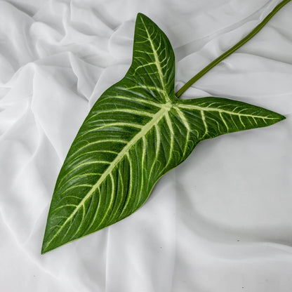 artificial Xanthosoma Leaf