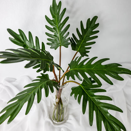 artificial small xandoo leaves placed in transparent glass vase