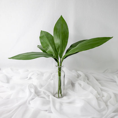 artificial small calla leaves placed in transparent glass vase