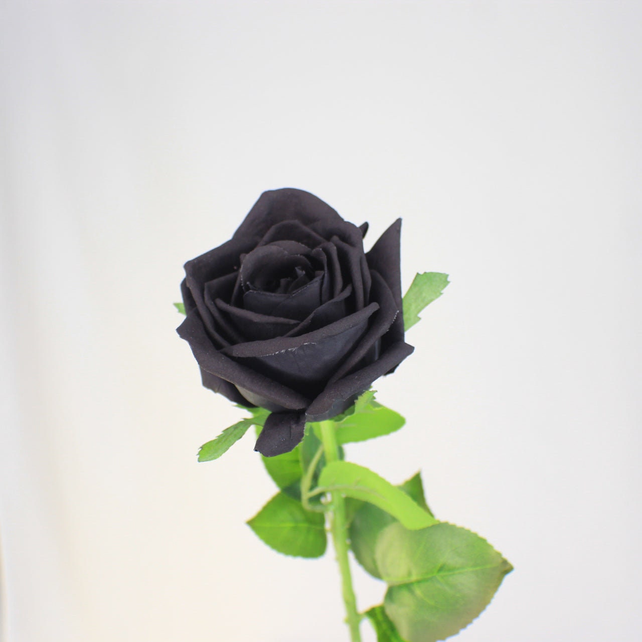 Black Large Real Touch Rose - Realistic Artificial Flowers