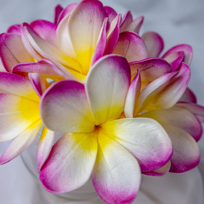 artificial white fuchsia frangipani flowerhead in clear glass vase