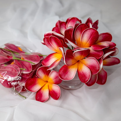 artificial red orange frangipani flowers placed in transparent glass vase