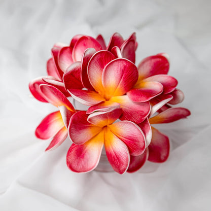 artificial red orange frangipani flowers placed in transparent glass vase