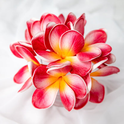 artificial red orange frangipani flowers placed in transparent glass vase