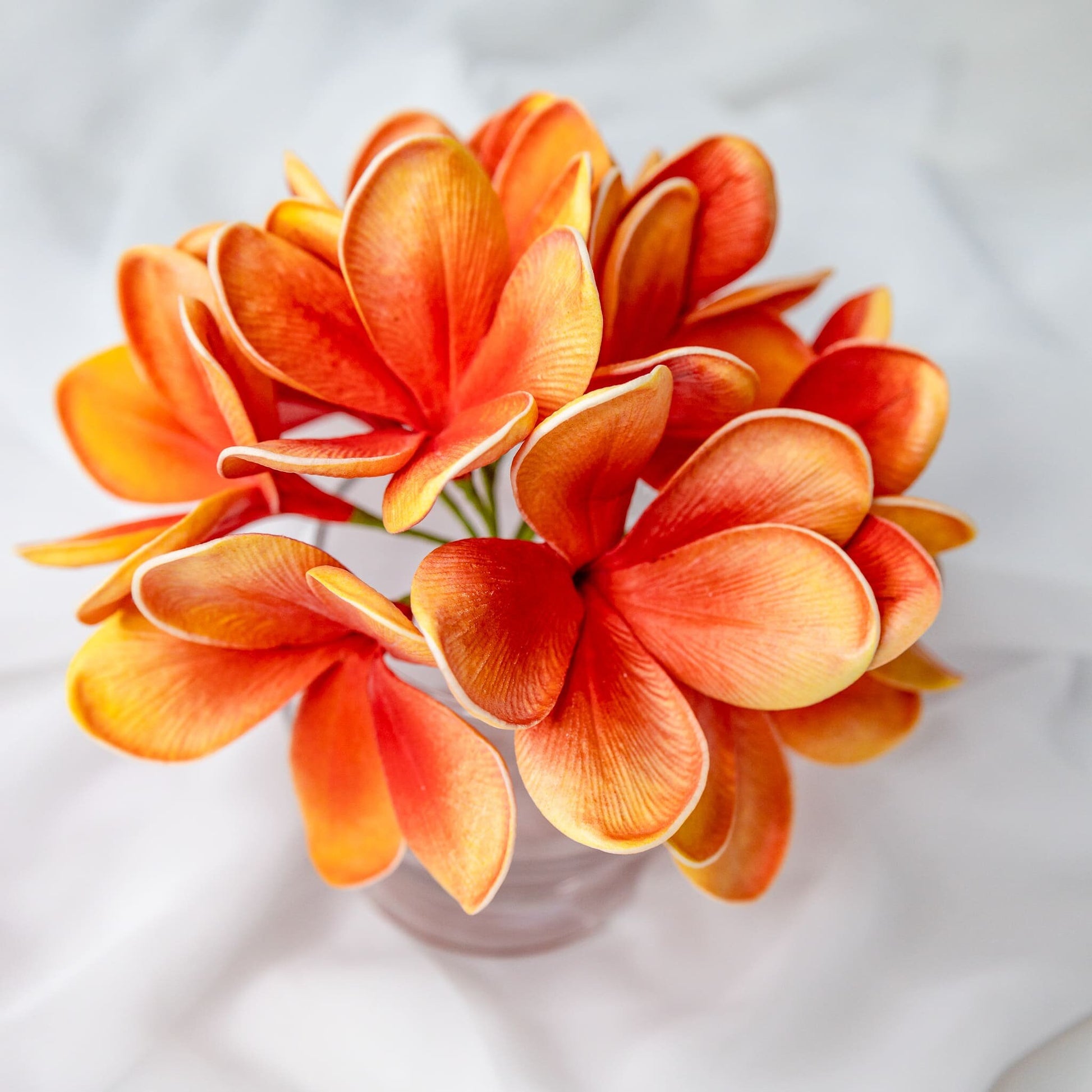 artificial tangerine frangipani flowers placed in transparent glass vase