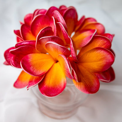 California Frangipani Flowerhead - Realistic Artificial Flowers