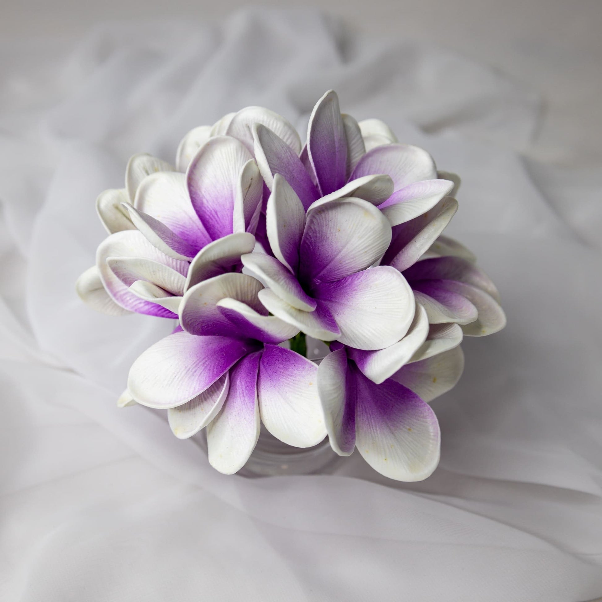 artificial picasso frangipani flowers placed in transparent glass vase