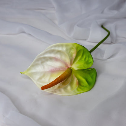 Anthurium Small White/Green - Realistic Artficial Flowers