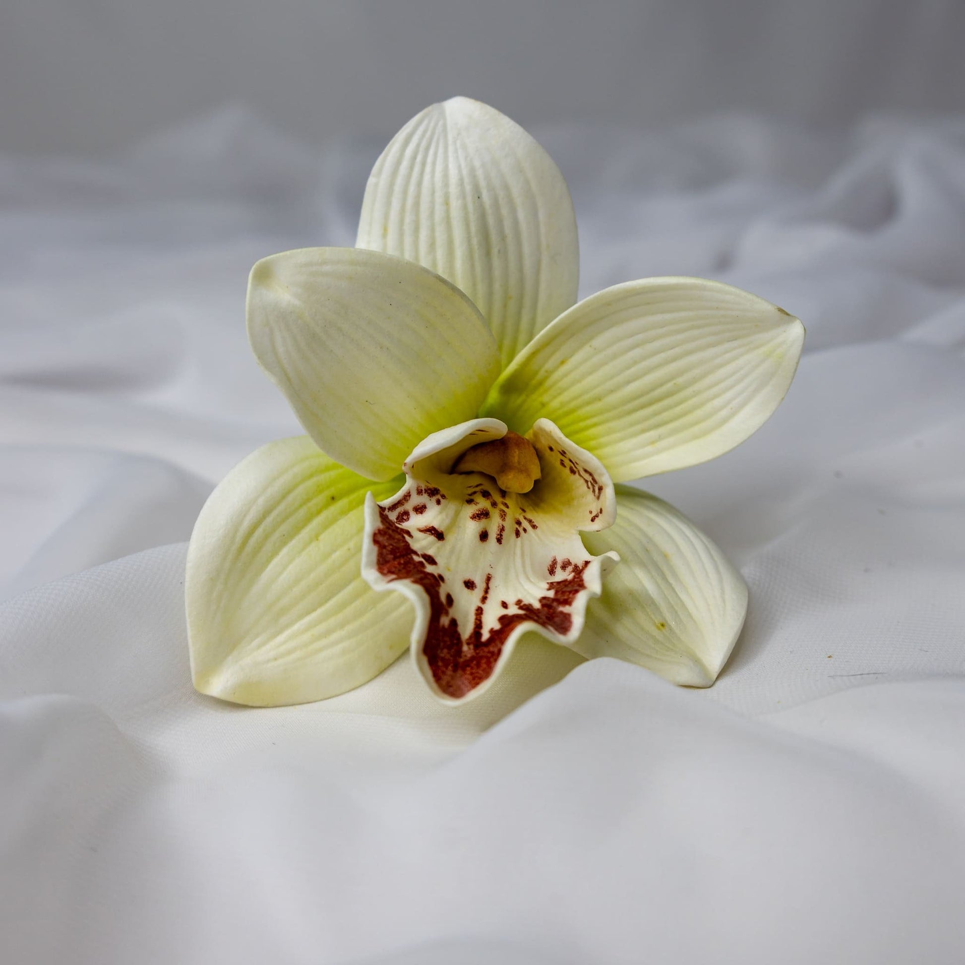 artificial White/Burgundy Cymbidium