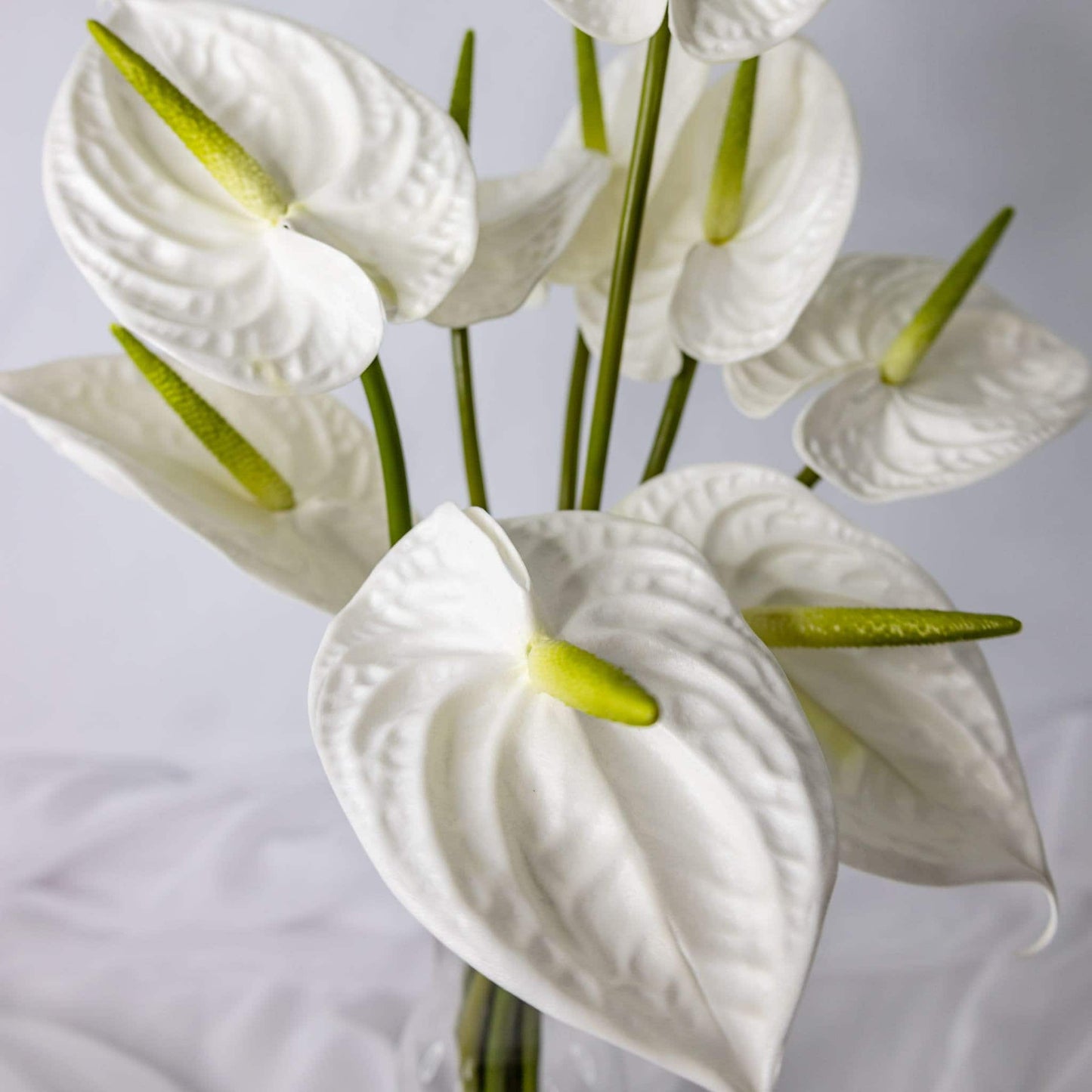 artificial white anthurium top view