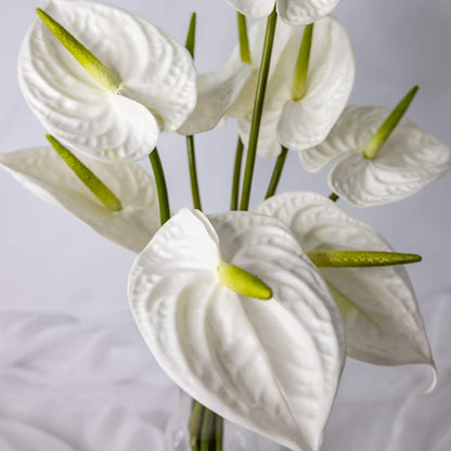 artificial white anthurium top view