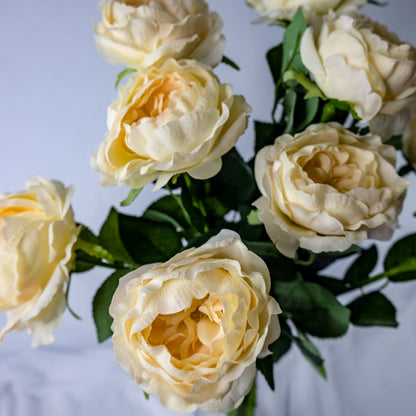 artificial pale peach david austin roses placed in transparent glass vase_1