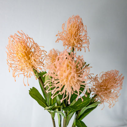 artificial pink leucospermum