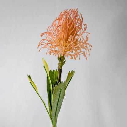 artificial pink leucospermum