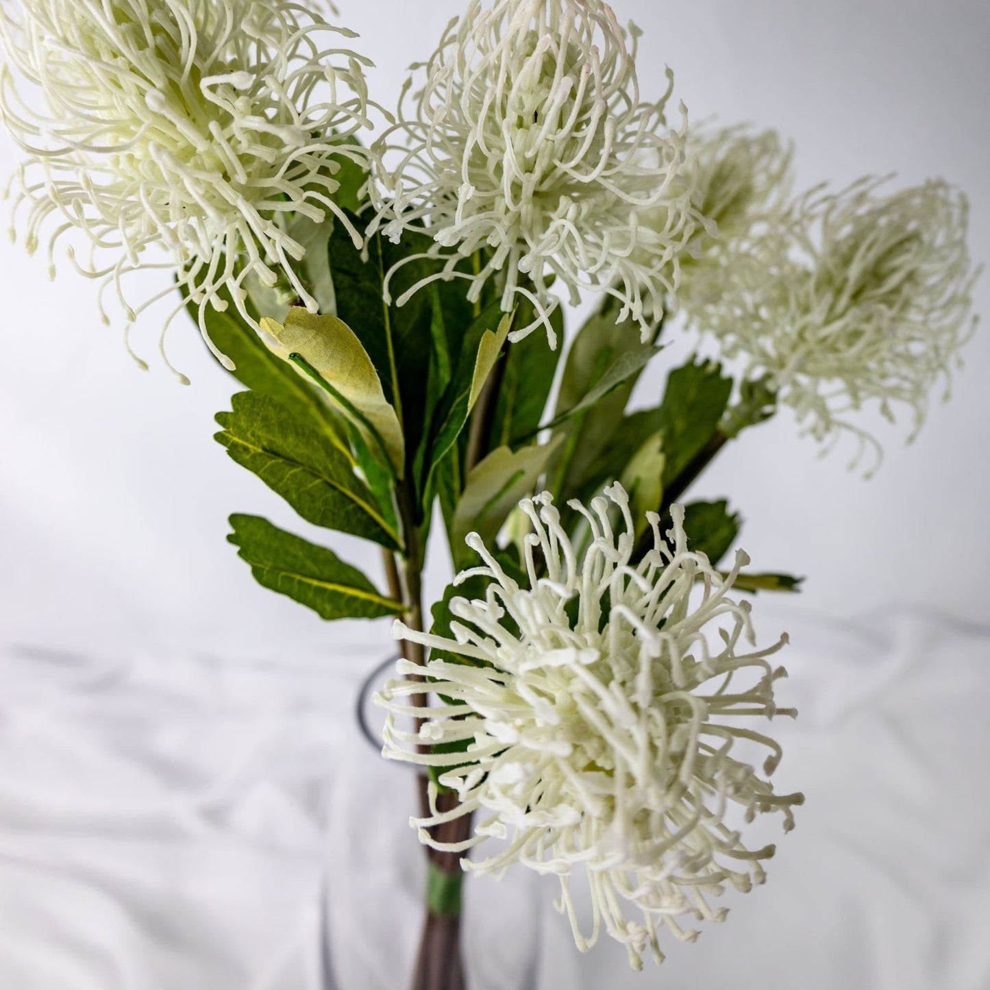 artificial White Leucospermum in glass vase top view