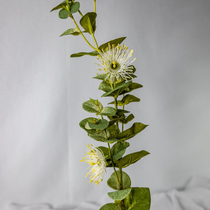 artificial white flowering gum blossom