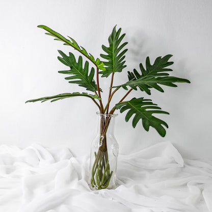 artificial small xandoo leaves placed in transparent glass vase