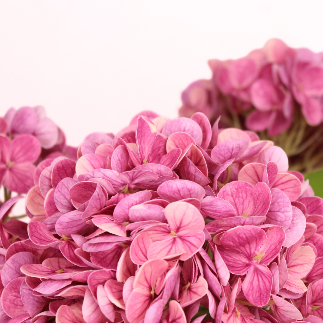 Mauve Real Touch Hydrangea  - Realistic Artificial Flowers