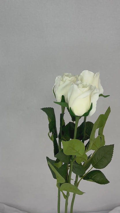 White Real Touch Open Bud Rose - Realistic Artificial Flowers