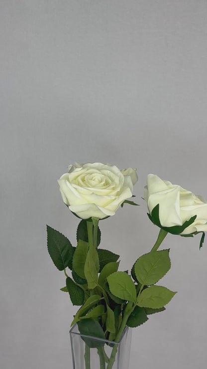 Off White Natural Real Touch Rose - Realistic Artificial Flowers